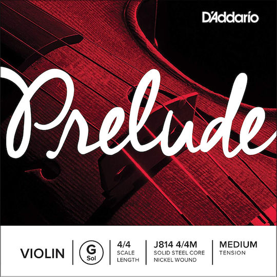 Daddario Single Steel String for Cello 4/4 Prelude Medium 4/4 G (Sol) 13"