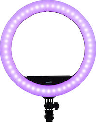 Nanlite Halo 16C Ringlicht 40.5cm 2700 - 6500K mit Halterung für Mobiltelefon