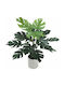 Artificial Plant in Small Pot Monstera Green 40cm Marhome