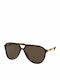 Ralph Lauren Men's Sunglasses with Brown Tartaruga Plastic Frame and Brown Lens PH4173 500373