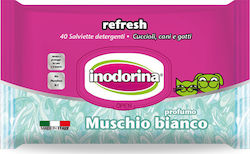 Inodorina 40 Μαντηλάκια Inodorina 40 Μαντηλάκια