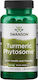 Swanson Turmeric Phytosome with Meriva 500mg 60 κάψουλες
