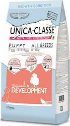 Gheda Unica Classe 12kg Gheda Unica Classe 12kg