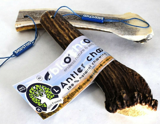 Antler BlooChoo Κέρατο Σκύλου Μεγαλόσωμων Φυλών από Ελάφι 100gr
