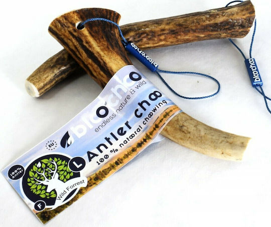 Antler BlooChoo Κέρατο Ελαφιού Full Large 70-100gr