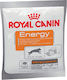 Royal Canin Hundesnack Energy Deliciu pentru câini cu Orez și Păsări de curte 50gr 1801015