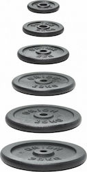 Orion Δίσκος Λαστιχένιος 1 x 10kg Φ30mm
