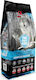 Alpha Spirit The Only One Wild Fish 12kg Ξηρά Τροφή Σκύλων χωρίς Σιτηρά με Ψάρια