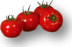 Tomato Betania F1 | 1000 Seeds