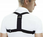 Blackroll Posture Back Splint Black