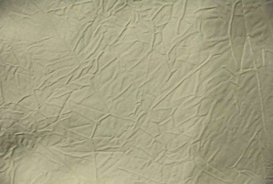 Dimitracas Crunchy Shower Curtain 180x200cm Coffee