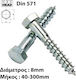 Helix Coach Screw Hexagon Galvanized DIN 571 with Diameter M8 and Length 100mm 100pcs