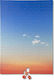 Dusk Puzzle 2D 500pcs