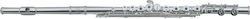 Roy Benson FL-602RE Flute
