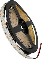 GloboStar LED Streifen Versorgung 24V mit Rot Licht Länge 5m und 240 LED pro Meter SMD2835