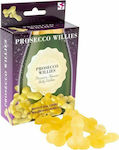 Spencer & Fleetwood Ltd Prosecco Willies Sexy Gift FD24