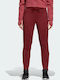 Jogginghose Noble Maroon