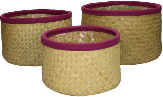Zaros Set Dekorative Körbe Korbweide mit Veilchen-Tresse 27x27x17cm 3Stücke