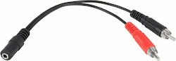 Lider DM-2906 3.5mm female σε RCA male