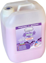 Hygiene Fresh Profesional Orhidee 10kg