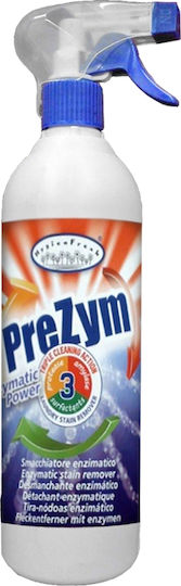 Ready Professionelles Sprühreiniger 1x750ml