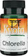 Swanson Kyoto Chlorella 194mg 300 ταμπλέτες