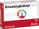 Cube Imunoglukan P4H Supplement for Immune Support 30 caps