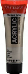 Royal Talens Amsterdam Toate Culorile Acrilice Standard Pewter 815