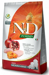 Farmina N&D Pumpkin Puppy Medium & Maxi 12kg Dry Food Grain-Free for Medium & Large Breed Puppies with Chicken and Pomegranate