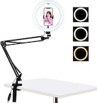 Puluz LED Ring Light Ring Light 26cm with Desktop Stand/Mount Stand and Mobile Holder