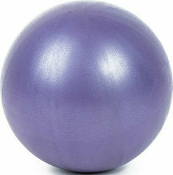 Mini Μπάλα Pilates 25cm σε Μωβ Χρώμα
