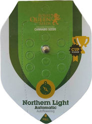 Royal Queen Seeds - Northen Light auto - 1 seed