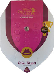 Royal Queen Seeds - OG Kush - 1 seed