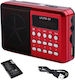 8135 Portable Radio Rechargeable with USB Red