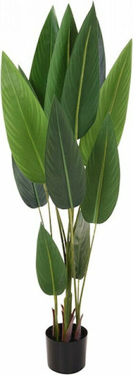 Bird of Paradise Potted Plant 130cm Zaros