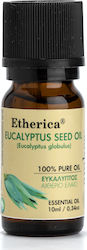 Amhes Ätherisches Öl Eukalyptus 10ml
