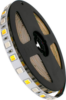 GloboStar Ταινία LED Τροφοδοσίας 24V RGBW Μήκους 5m και 72 LED ανά Μέτρο