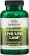 Swanson Premium Uva Ursi Leaf 450mg 100 caps