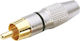 Adam Hall Stecker RCA männlich Schwarz (7620BLK)