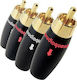 Audioquest RCA-300 Stecker RCA männlich 4Stück Mehrfarbig