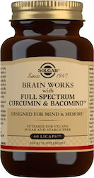 Solgar Brain Works Supliment pentru Memorie 60 capace