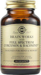 Solgar Brain Works mit Vollspektrum-Curcumin & ...