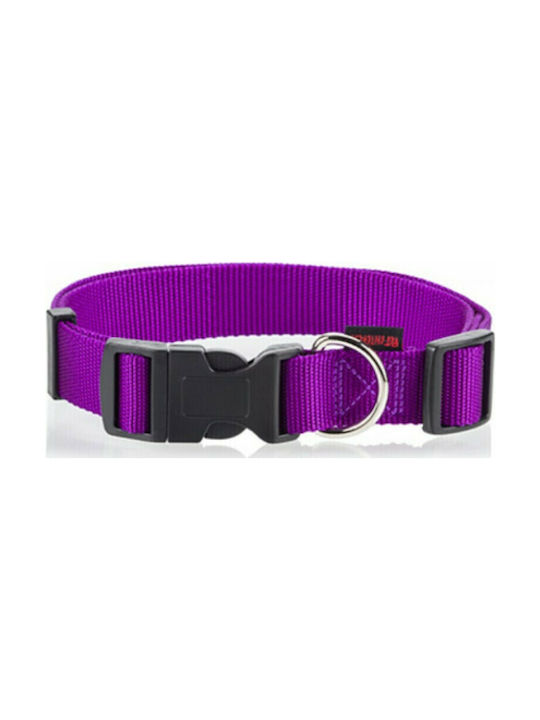 Pet Interest Plain Line Dog Collar in Purple Co...