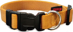 Pet Interest Plain Line Dog Collar in Gold Colour XSmall 10mm x 19 - 33cm