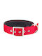 Pet Interest Neoprene Standard Ошийник за куче в Червен цвят Medium 20мм x 50см