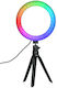 Quadralite LED Ring Light RGB Ringlicht 20,32cm mit Desktop Stativ