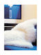 Tapicap Sheepskin Rug Furry White