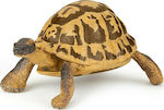 Papo Miniature Toy Hermann's Tortoise for 3+ Years 5cm.