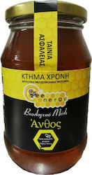 Κτήμα Χρόνη Organic Honey Flower 630gr