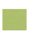 Wallpaper Vinyl Green L1005xW53cm Washable